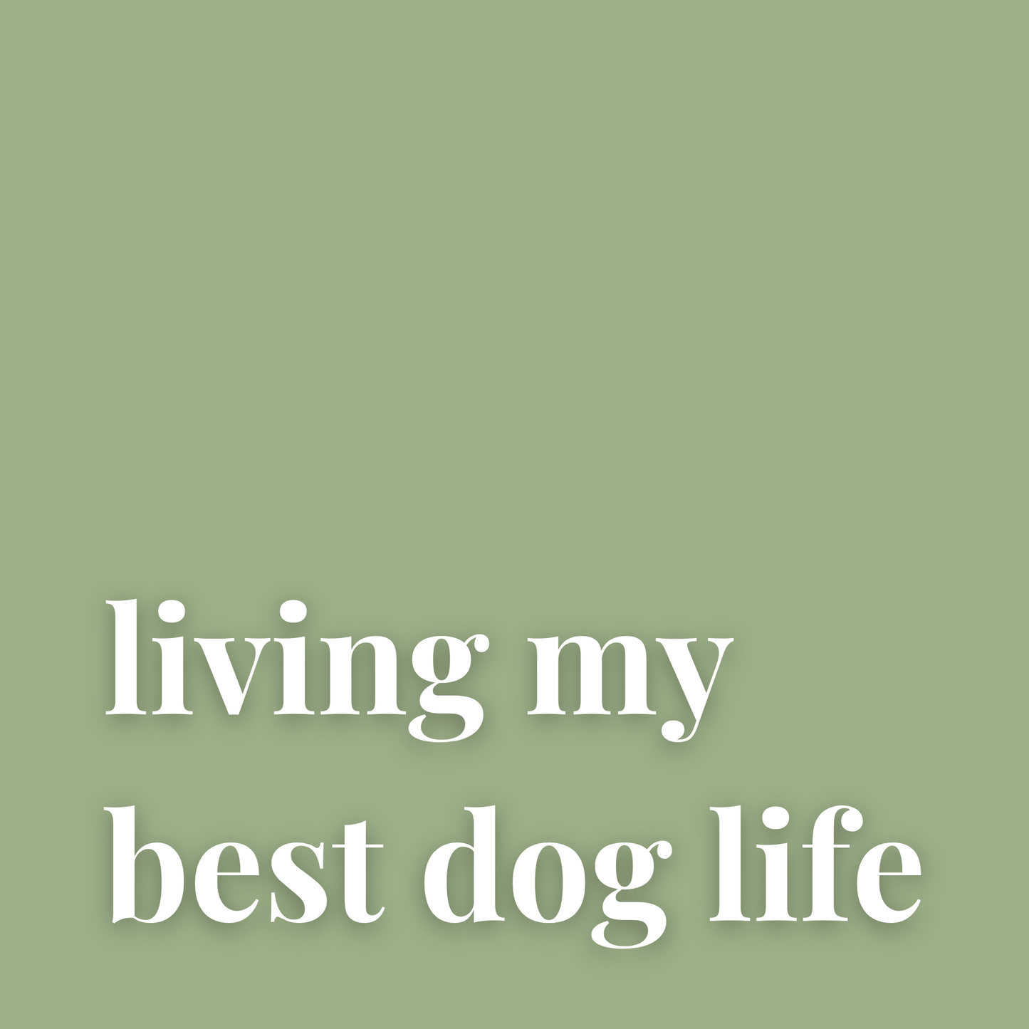Hundebandana Salbeigrün – „living my best dog life“