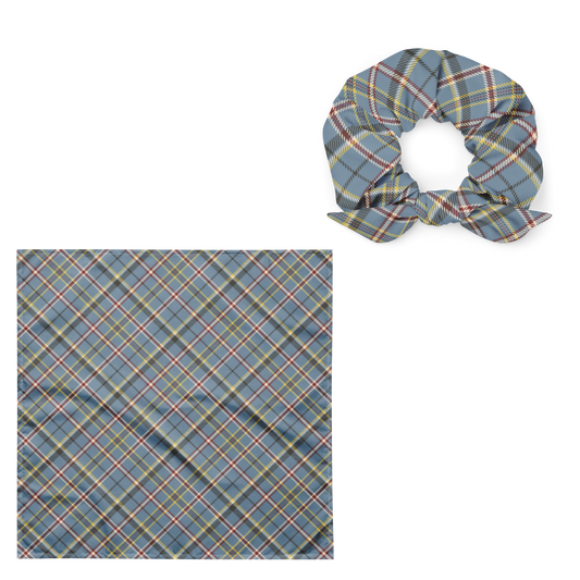 Matching Set Hundebandana & Scrunchie - Kariert